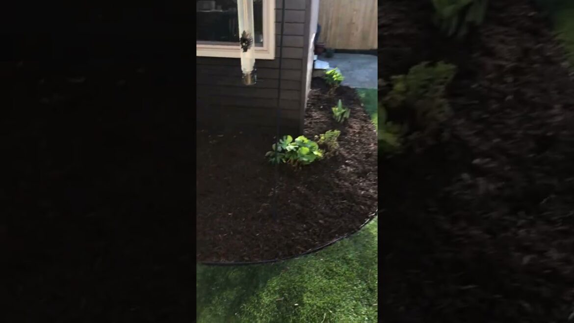 Brown Mulch Installation