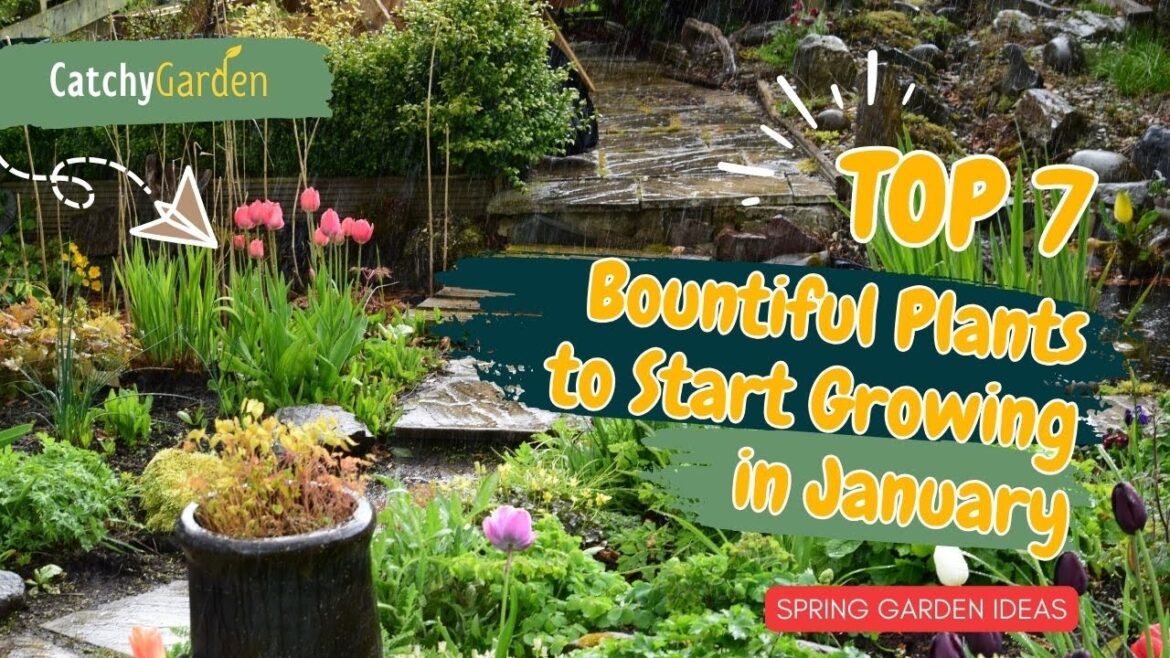 7 Must Have Bountiful Plants to Start Growing in January 🥦🌺🥬️ // Gardening Ideas
