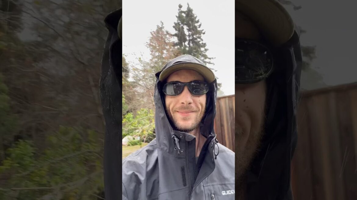 See What I Do As A Land Maintenance Owner/operator #landscape #shorts See What I Do As A Land Maintenance Owner/operator #landscape #shorts