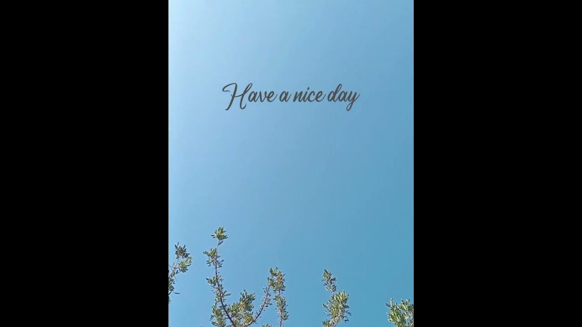 The carob, El algarrobo, Le Caroubier (Ceratonia siliqua)