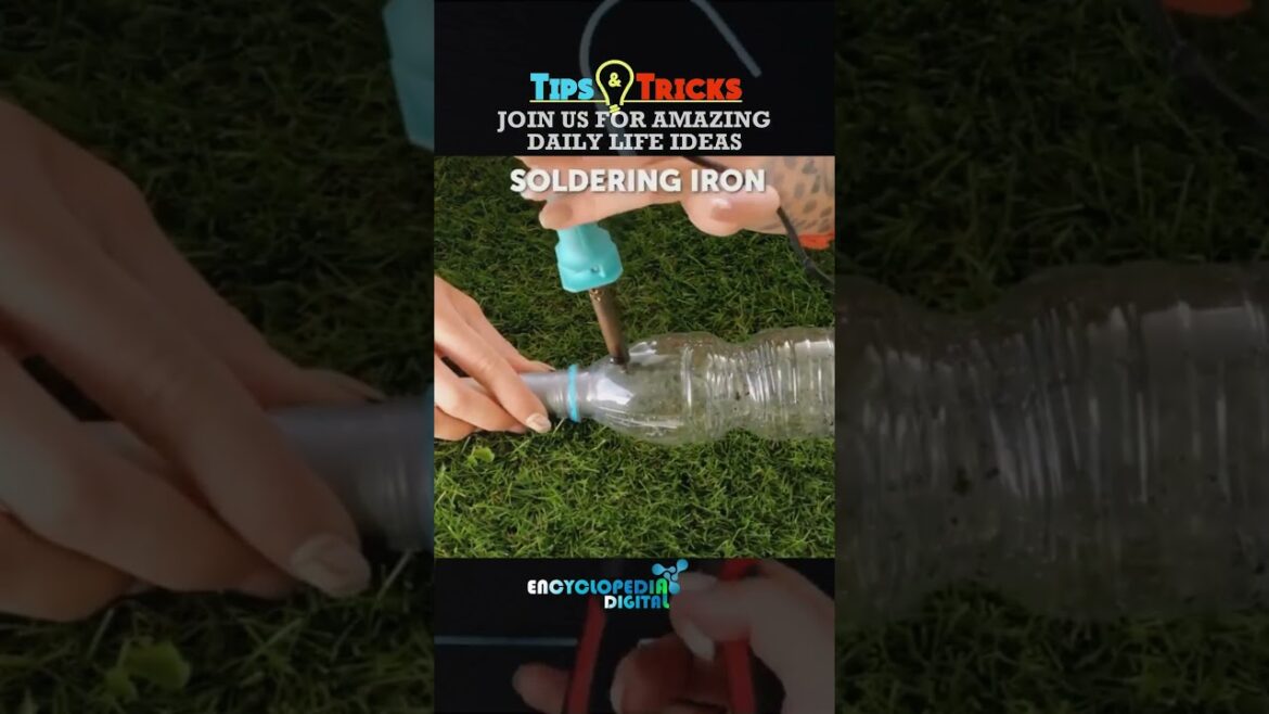 Home Gardening tips & Tricks | Simple Gardening Ideas