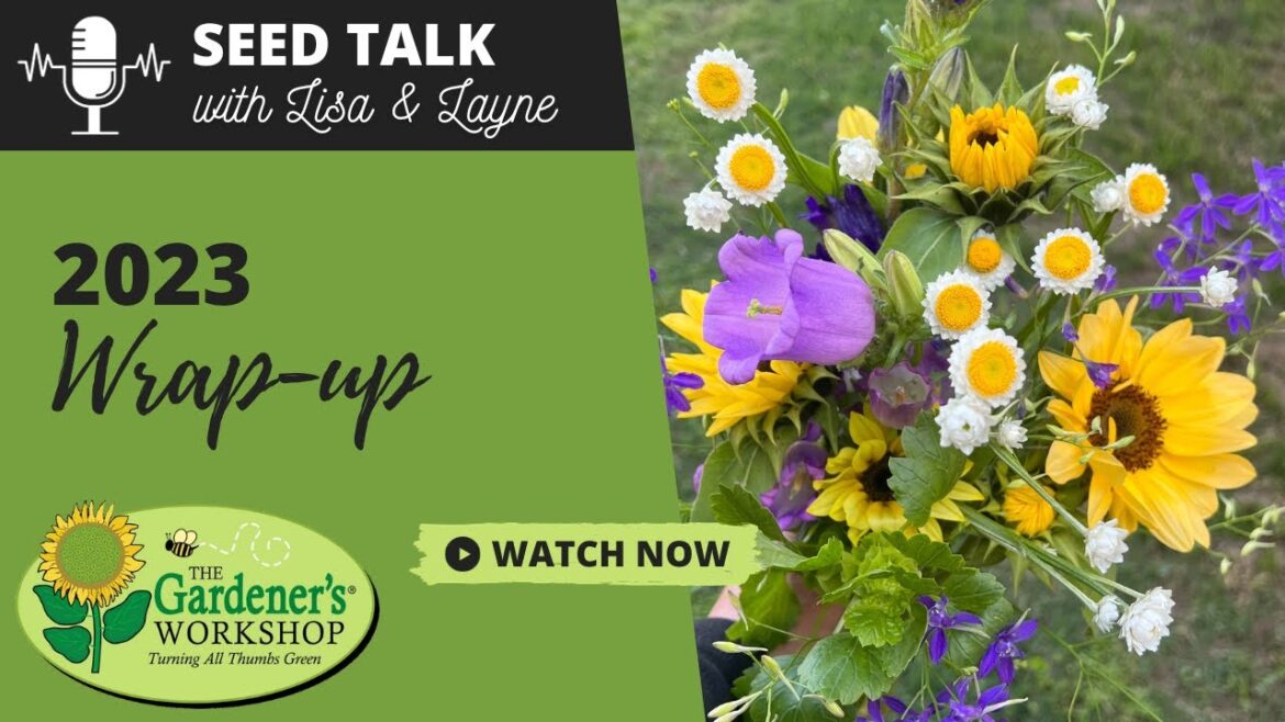 Seed Talk #69 - 2023 Wrap-up