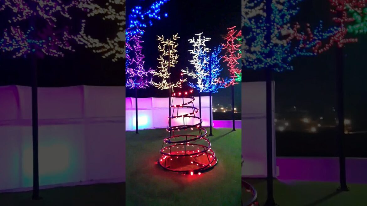 #rockgarden #park #garden #shorts #trending #viral #ytshorts #shortsfeed #shortvideo #shortsviral