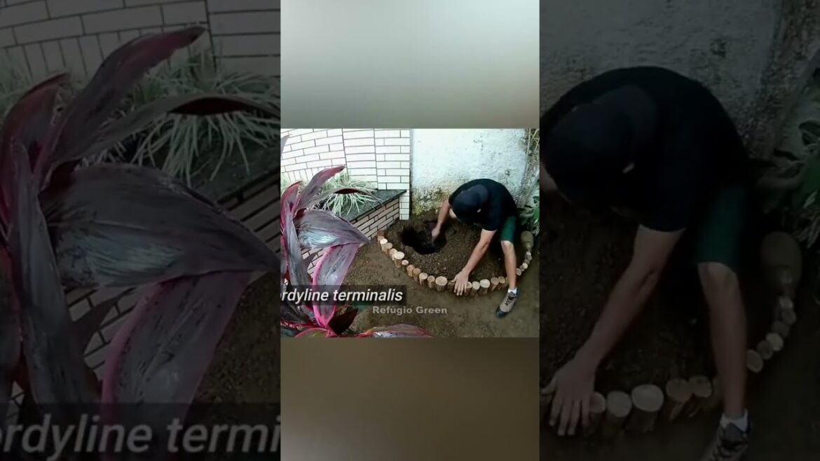 Jardim tropical🌴 #shortsvideo  #gardening #landscaping#paisagismo #jardin  #refugiogreen