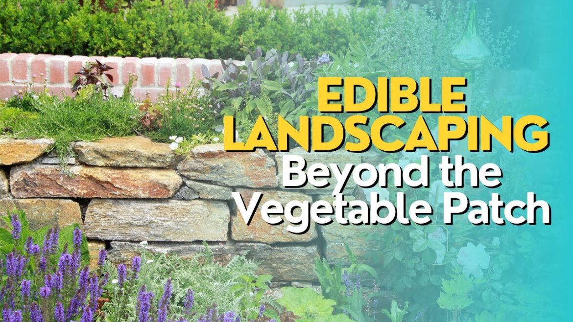 Edible Landscaping: Beyond the Vegetable Patch Edible Landscaping: Beyond the Vegetable Patch