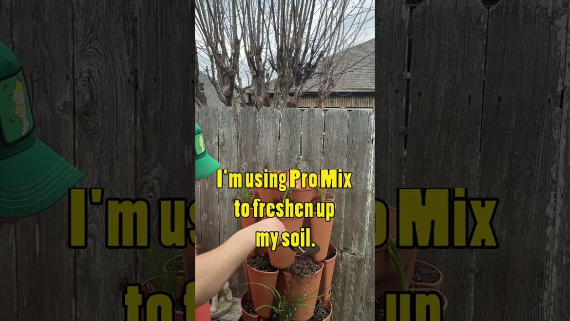 Growing Onions in a Small Space Growing Onions in a Small Space