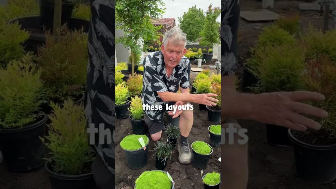 Chris's Garden Design and Layout Job👨‍🌾🏡