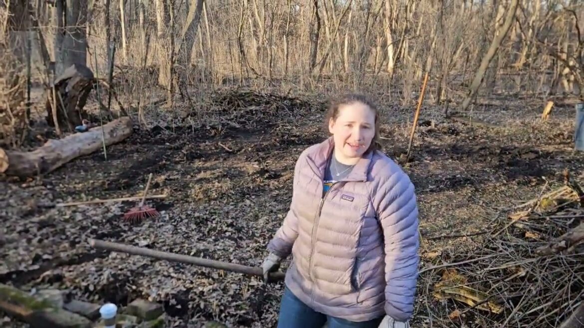 Backyard Homestead Garden 2024 DIY Project Part 1