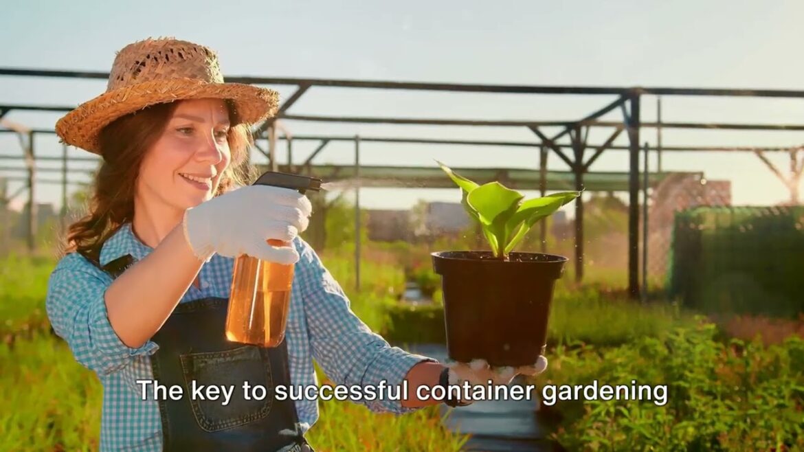 Container Gardening 101 Growing Plants in Small Spaces
