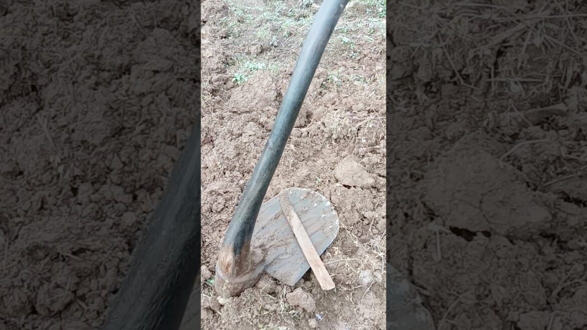 traditional farming tools #farming #gardening #shorts
