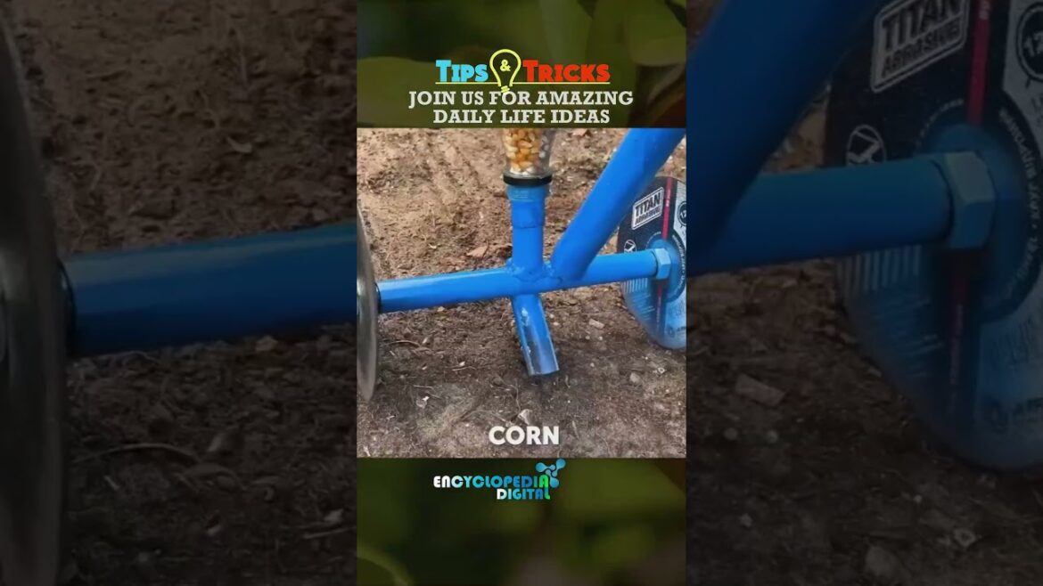 Home Gardening tips & Tricks | Simple Gardening Ideas