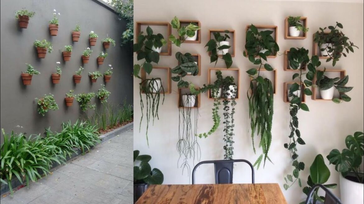 Vertical Garden Landscaping Ideas 2024|Wall Plabter Landscaping Ideas For Home Backyard / Front Yard