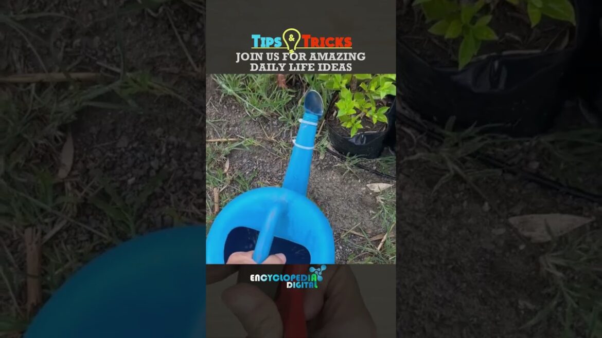 Home Gardening tips & Tricks | Simple Gardening Ideas Home Gardening tips & Tricks | Simple Gardening Ideas