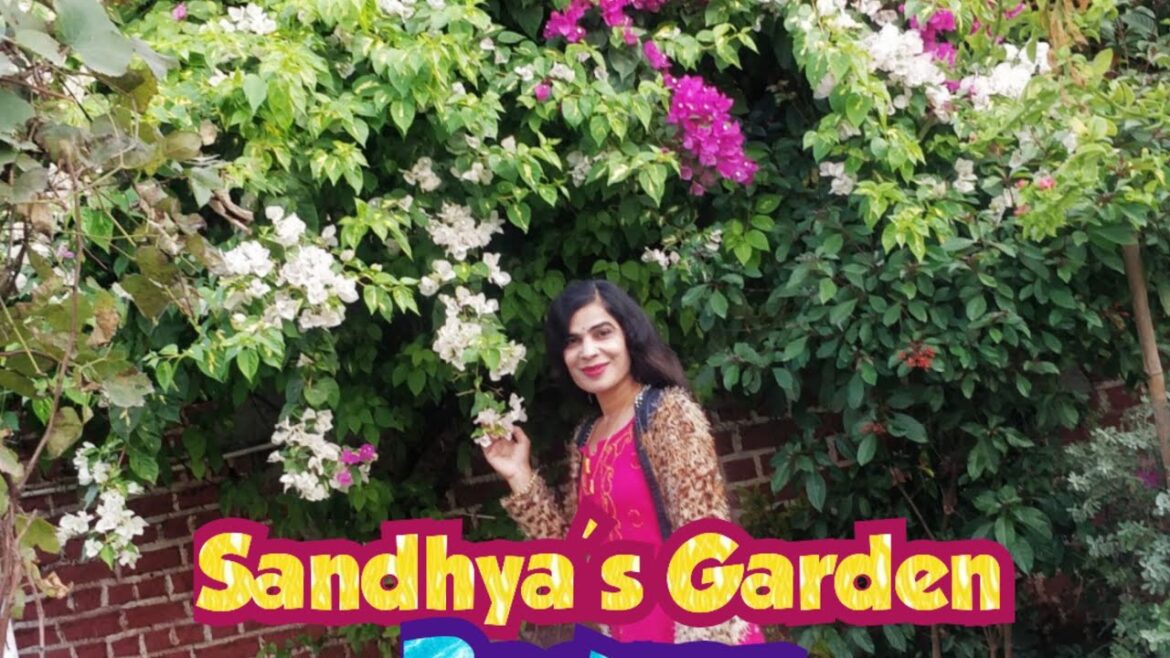 Garden Design and Flowers || Beautiful Home Garden Pics || Big Home Garden || Garden Decoration Garden Design and Flowers || Beautiful Home Garden Pics || Big Home Garden || Garden Decoration