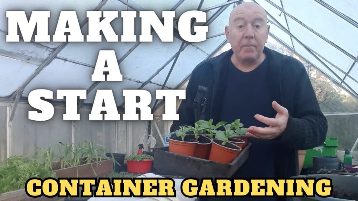 Making a Start On The Container Garden [Gardening Allotment UK] [Grow Vegetables At Home ]