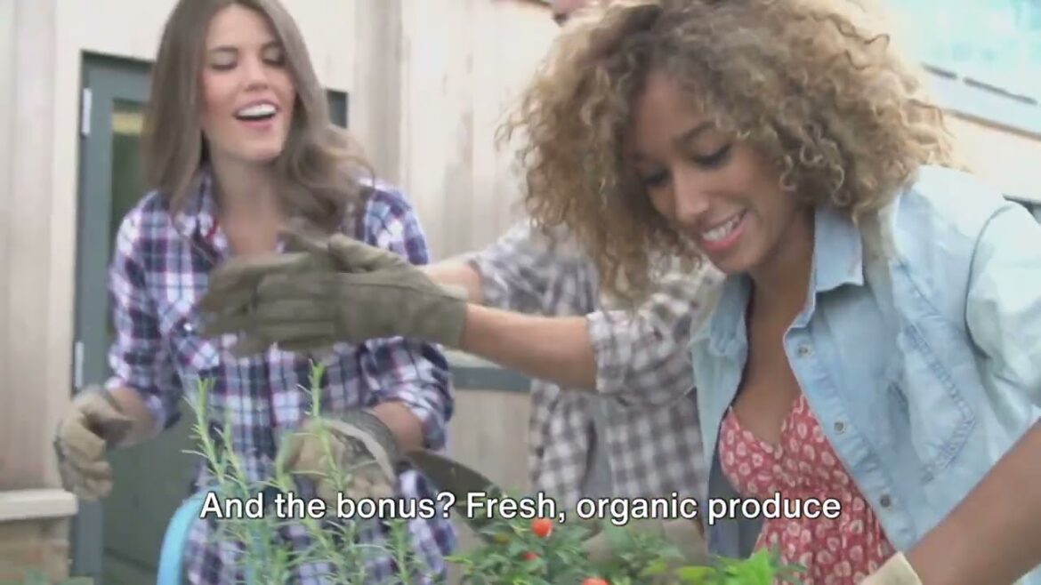 Urban Organic Gardening Growing Food in Small Spaces Urban Organic Gardening Growing Food in Small Spaces