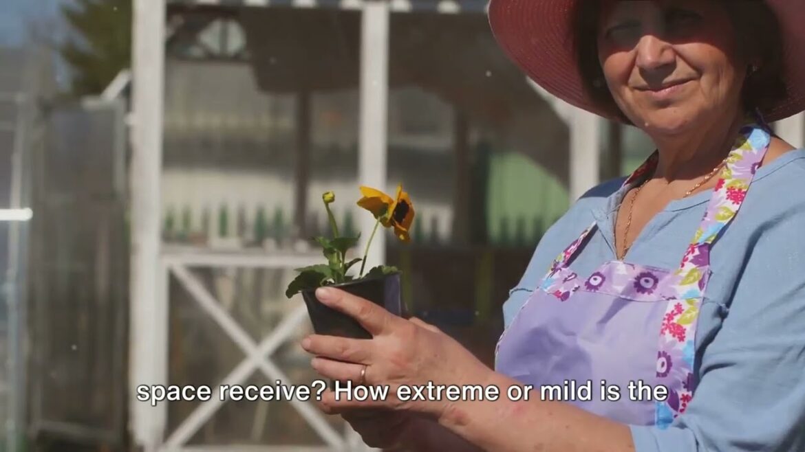 Container Gardening: Growing Flowers in Pots"