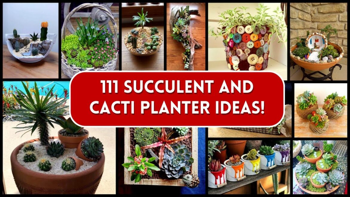 DIY Planter Ideas for Succulents and Cacti! 111 Examples