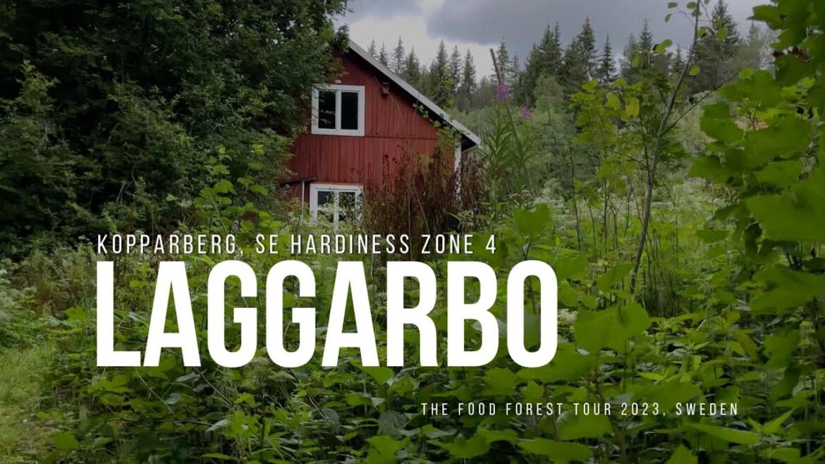 Laggarbo – The Food Forest Tour 2023 Laggarbo - The Food Forest Tour 2023