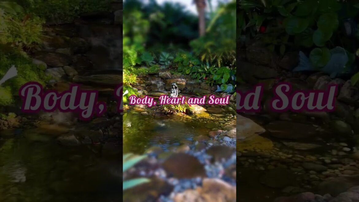 Join me as I walkthrough my fairytale garden this is my playground. #verobeach #tropicaldesign