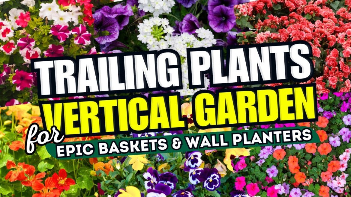 π VERTICAL GARDEN IDEAS – Top 10 Trailing Plants for Epic Baskets & Wall Planters πΊβ¨ π VERTICAL GARDEN IDEAS - Top 10 Trailing Plants for Epic Baskets & Wall Planters πΊβ¨