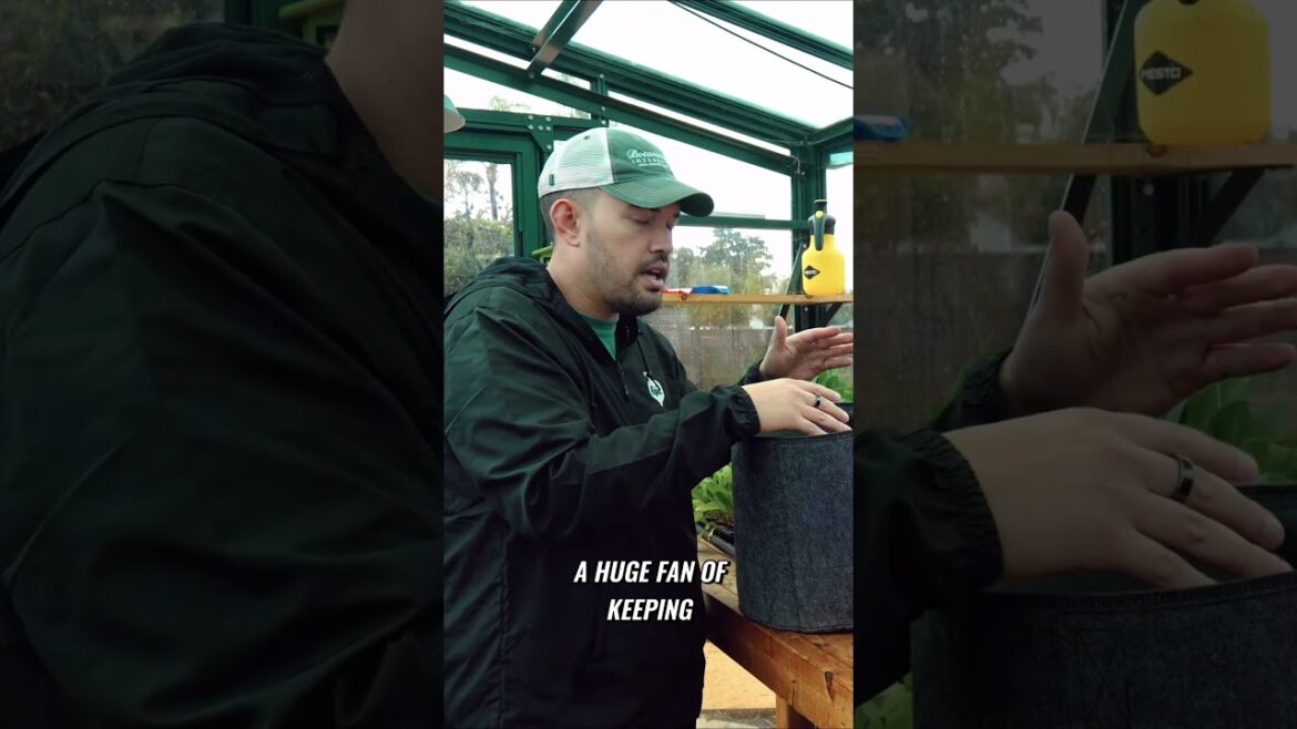 How to Start Seeds in Any Container with Perfect Germination Rates #garden