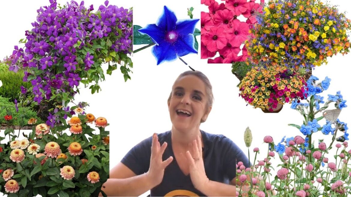 My Garden Plans for 2024!! Annuals, Containers, Perennials and Vines! #northtexas #zone8a #zone8b