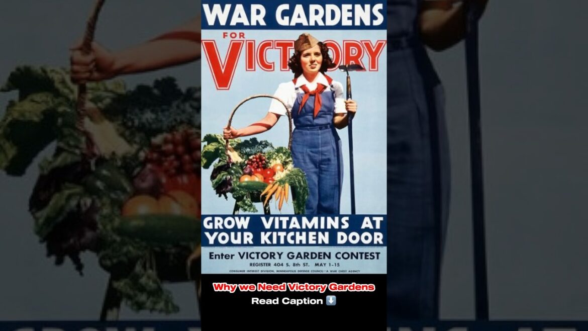 We should bring back Victory Gardens! Read Caption ⬇️ #FarmLife #FarmStead #Homestead #Gardening