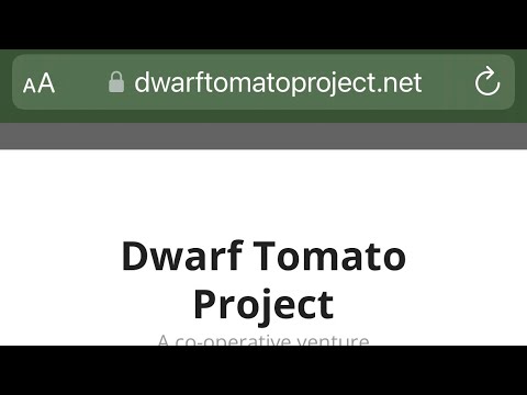 Dwarf Tomato Plants for Container Gardening #gardening #tomatoplants #vegetablegardening Dwarf Tomato Plants for Container Gardening #gardening #tomatoplants #vegetablegardening