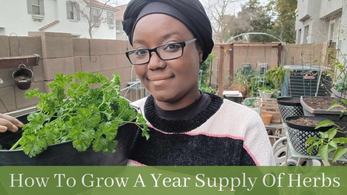 How To Grow A Year Supply Of Herbs In A Small Space