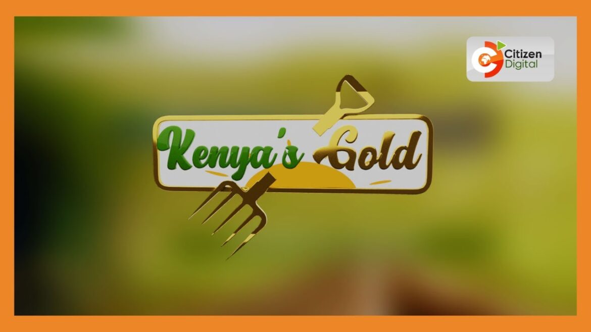 | Kenya's Gold | Coffee Family Trends - Gold Chat