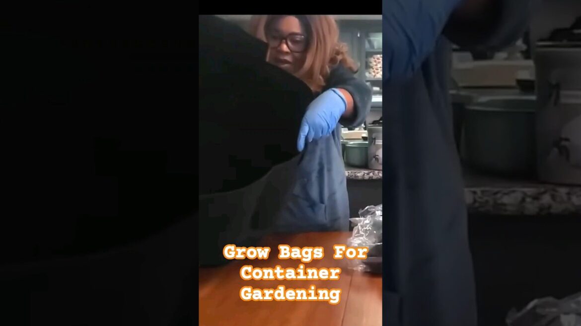 How To Use Grow Bags For Container Gardening _ 10, 25 & 30 Gallon Grow Bags #shorts How To Use Grow Bags For Container Gardening _ 10, 25 & 30 Gallon Grow Bags #shorts