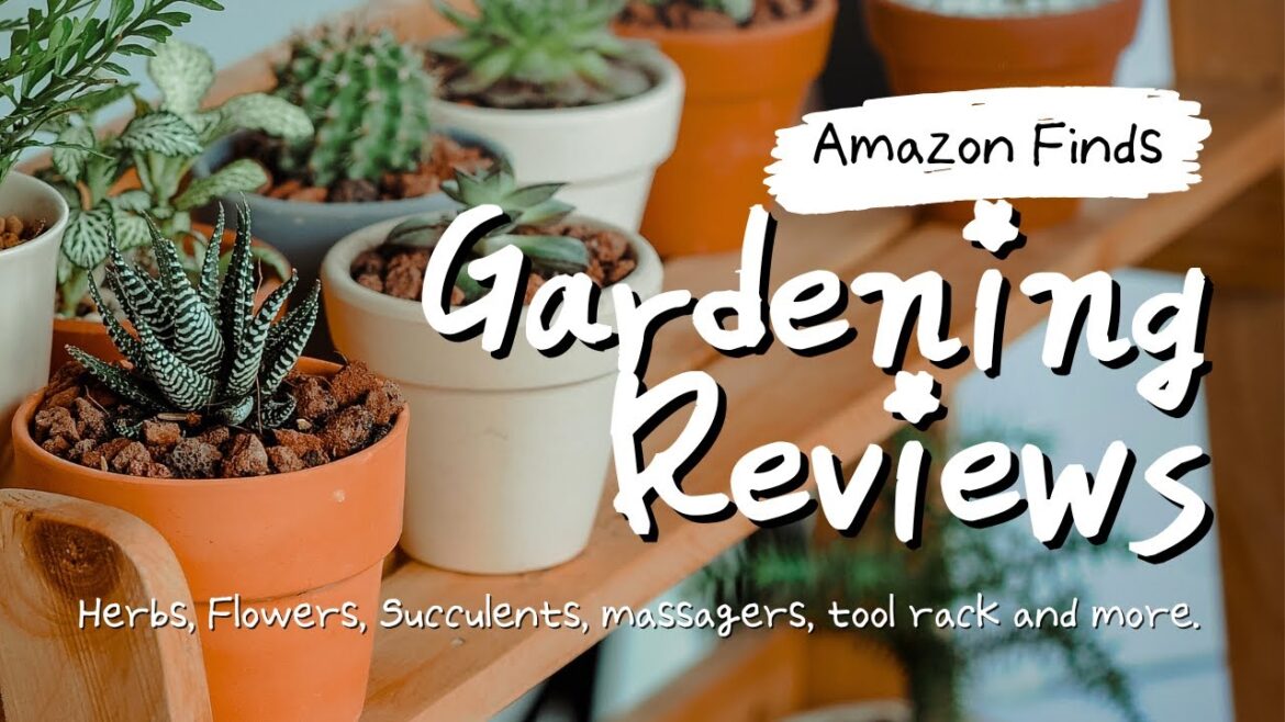 Garden Kits for Beginners   Tea Seeds   Edible Flower Seeds   Scalp Massage   Sprouts Garden #garden