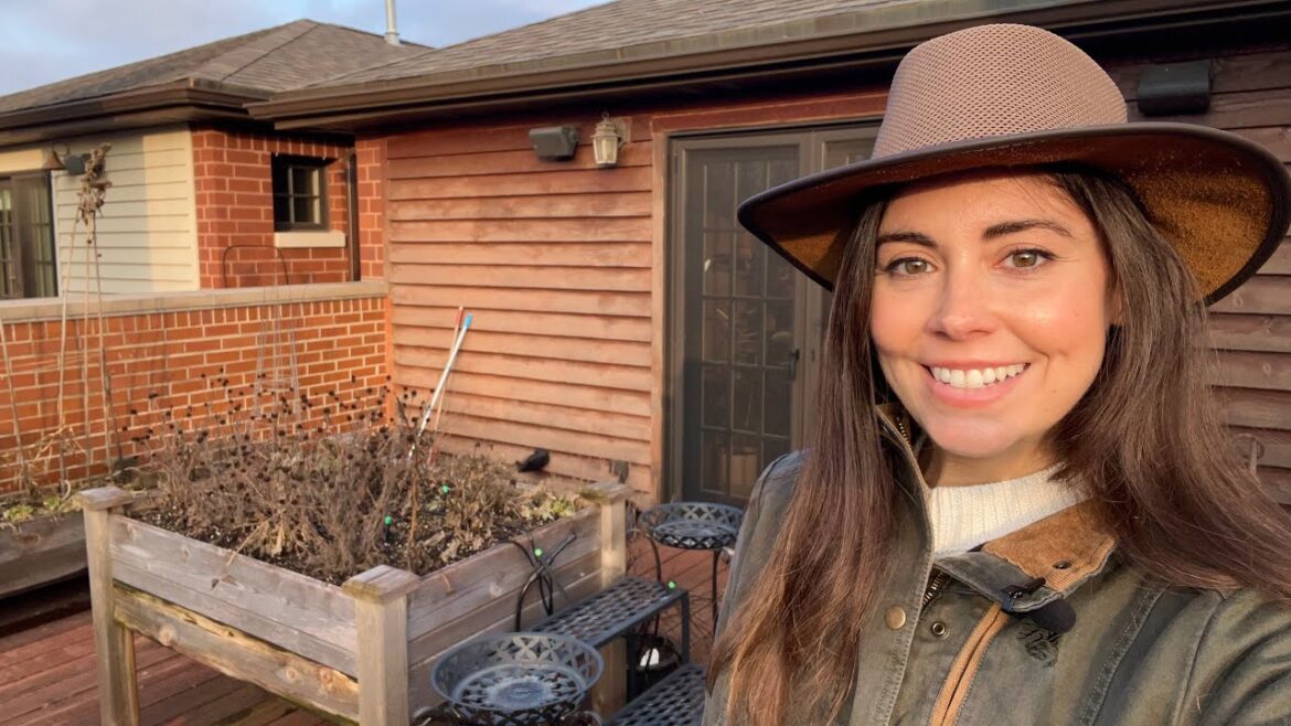 February Container Garden Tour!  Plants Are Already Coming Up!