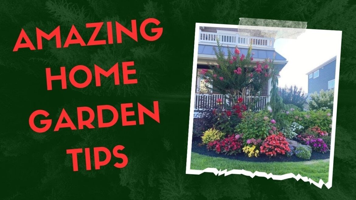 Home Garden Landscaping Ideas 2024 | Modern Patio Design | Front Yard Gardening Ideas For Home Home Garden Landscaping Ideas 2024 | Modern Patio Design | Front Yard Gardening Ideas For Home