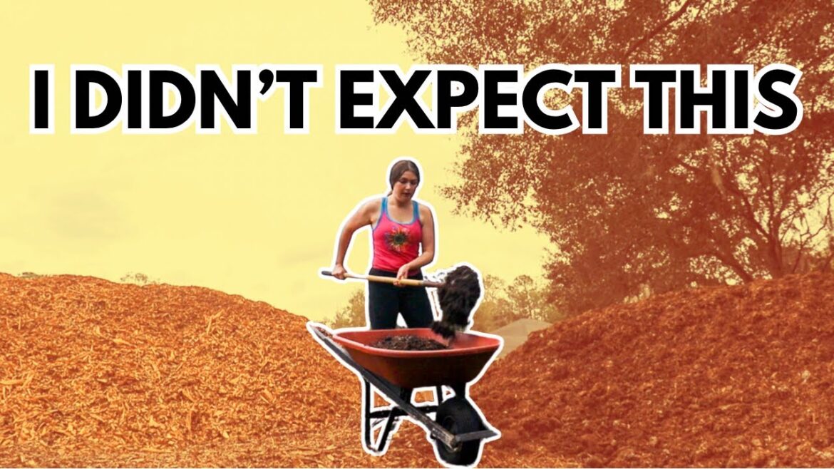 VLOG l I’ve got my work cut out for me – Spring Garden prep! Zone 9 Florida Permaculture Garden VLOG l I’ve got my work cut out for me - Spring Garden prep! Zone 9 Florida Permaculture Garden