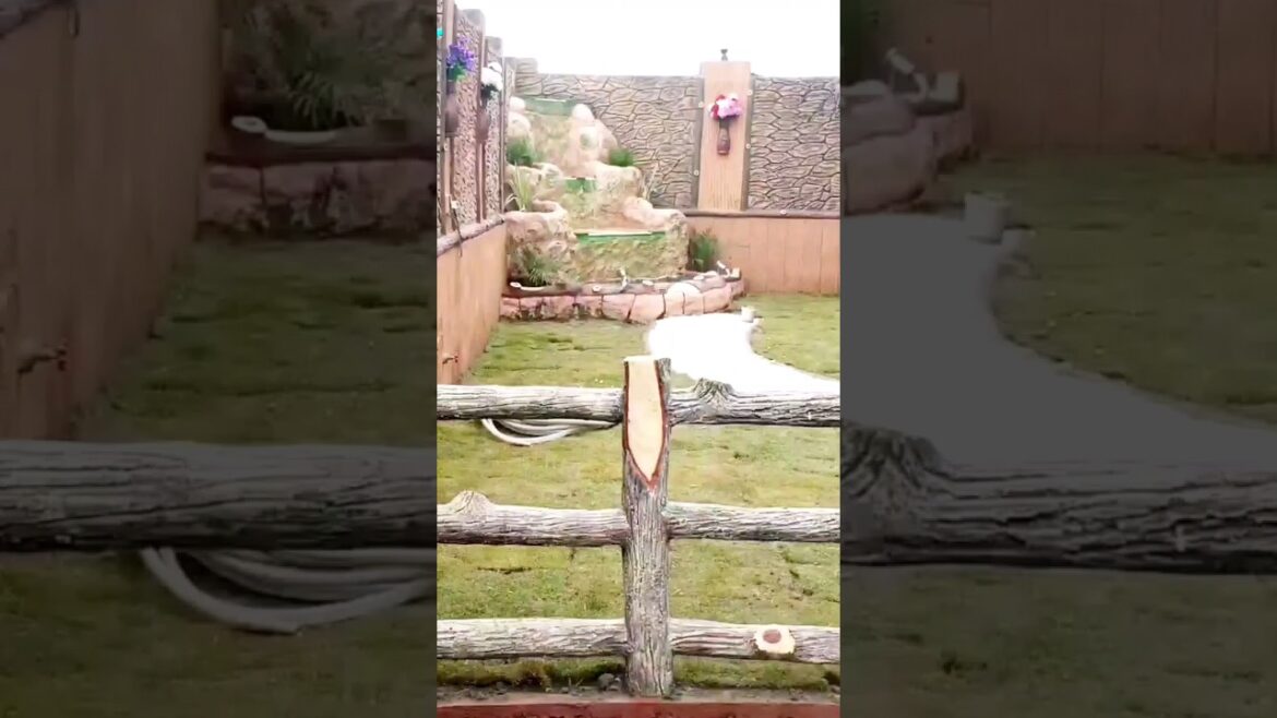 beautiful garden design, wall art, water fountain, cement grill, #shorts #garden #islamabad #art beautiful garden design, wall art, water fountain, cement grill, #shorts #garden #islamabad #art