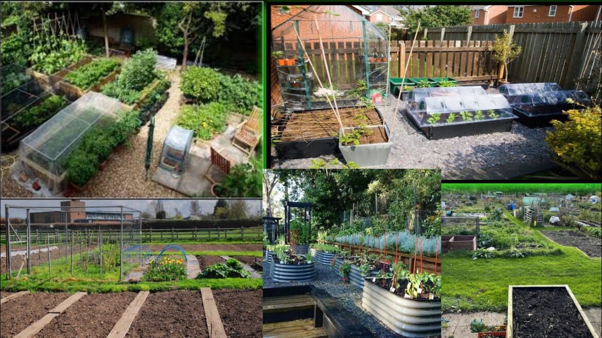 Allotment gardening uk 2024|Allotment gardening UK Allotment gardening uk 2024|Allotment gardening UK