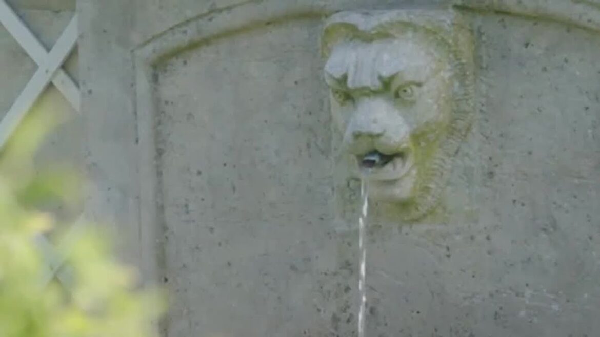 The Contrast of French & English Gardens