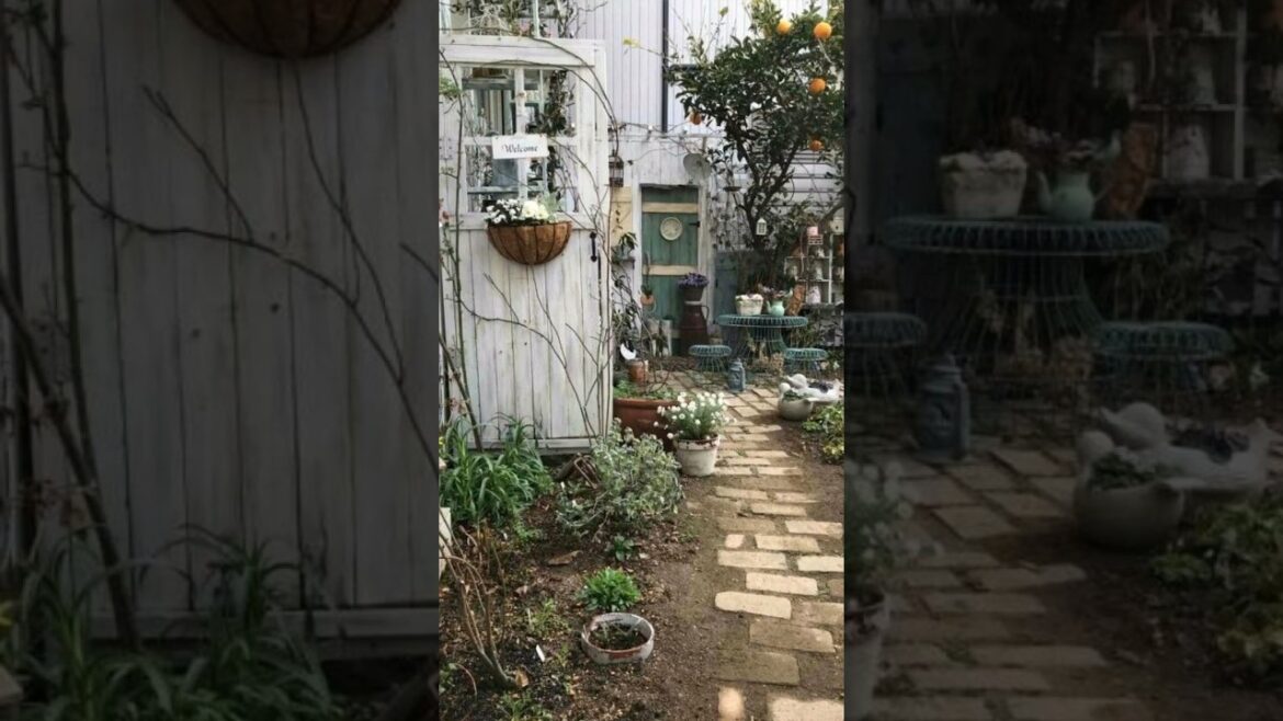 Some garden ideas #garden