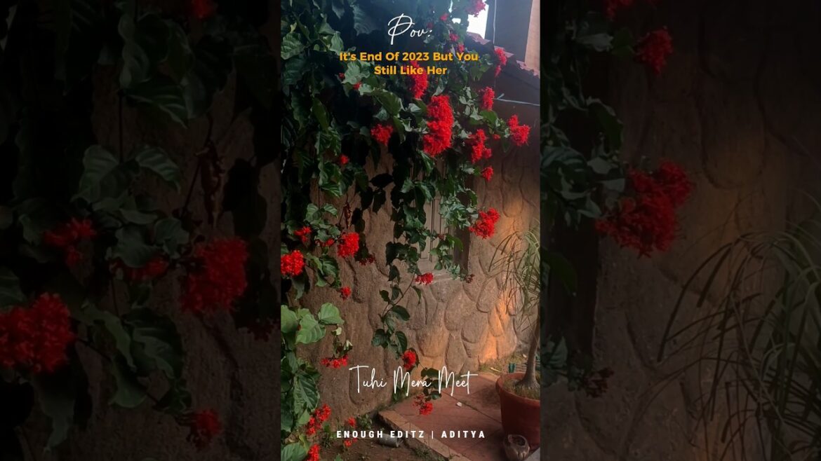 Japanese Garden | Seminary Hills | Nagpur #nagpur #seminaryhills #japanesegardens #ytshorts Japanese Garden | Seminary Hills | Nagpur #nagpur #seminaryhills #japanesegardens #ytshorts