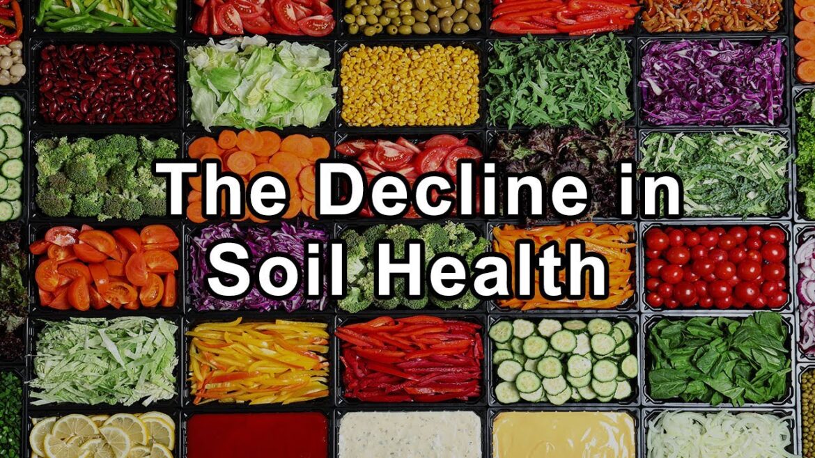 The Alarming Decline in Soil Health, Particularly in North America – David Montgomery and Anne Bikle The Alarming Decline in Soil Health, Particularly in North America - David Montgomery and Anne Bikle