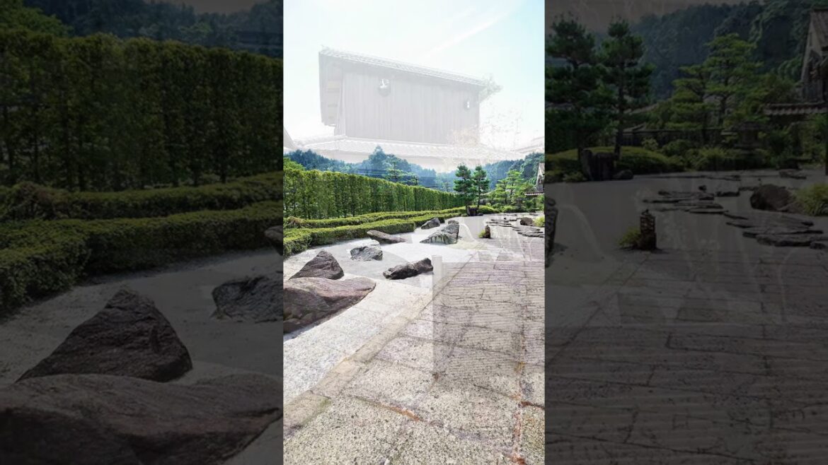 Embracing Stillness and Mindfulness