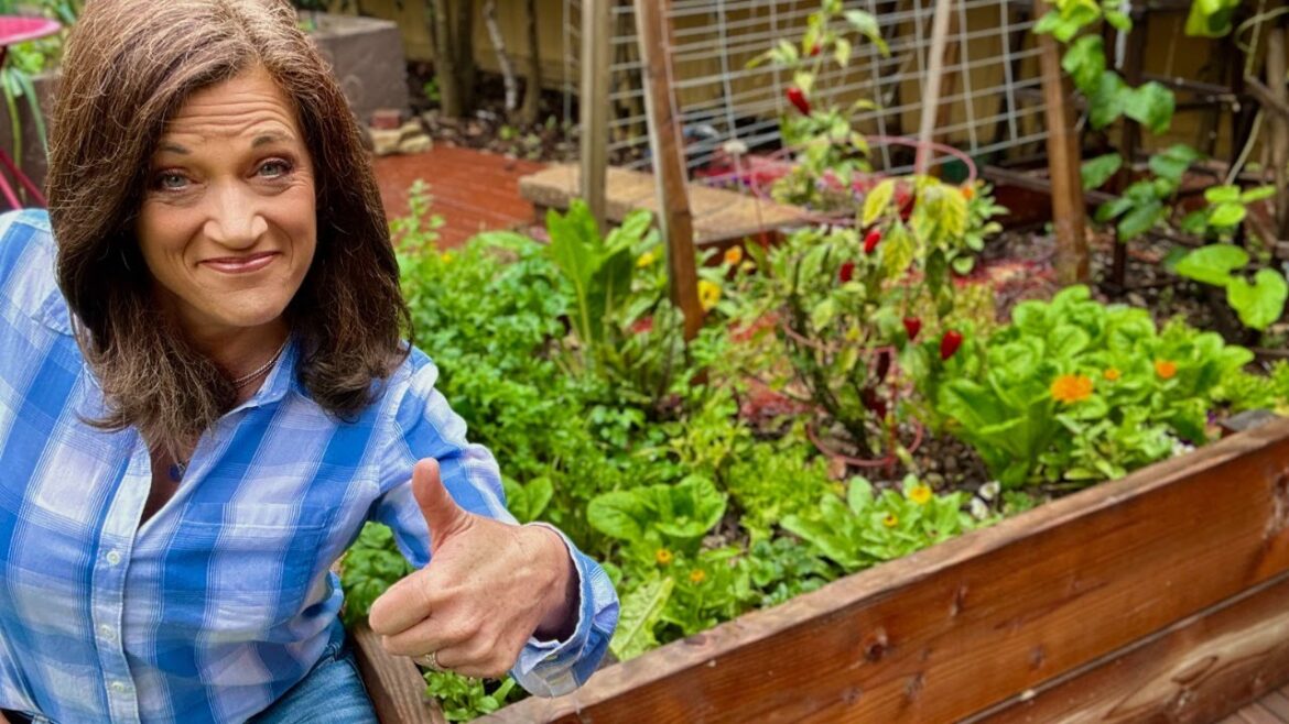 CaliKim: 🍅LIVE: Get Ready for Spring: Expert Tips on Compost, Seeds, Tomatoes & More! February Garden Q&A 🍅LIVE: Get Ready for Spring: Expert Tips on Compost, Seeds, Tomatoes & More! February Garden Q&A