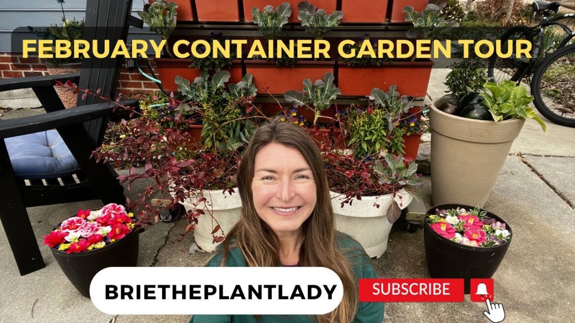 February Container Garden Tour