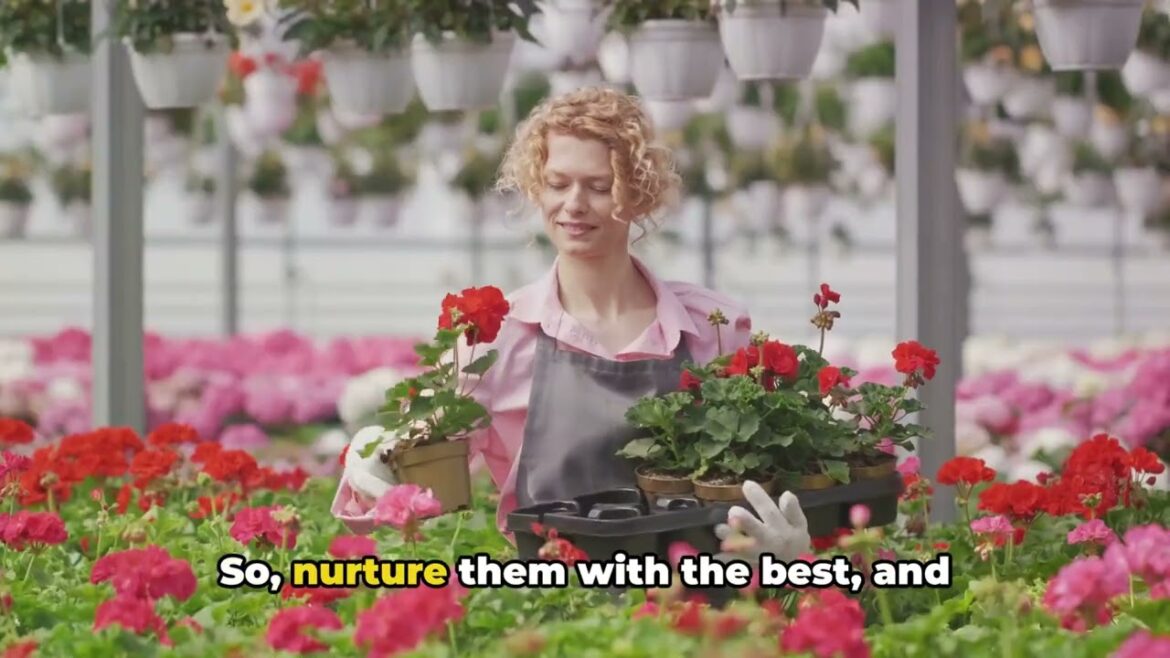 Container Flower Gardening Maximizing Small Spaces