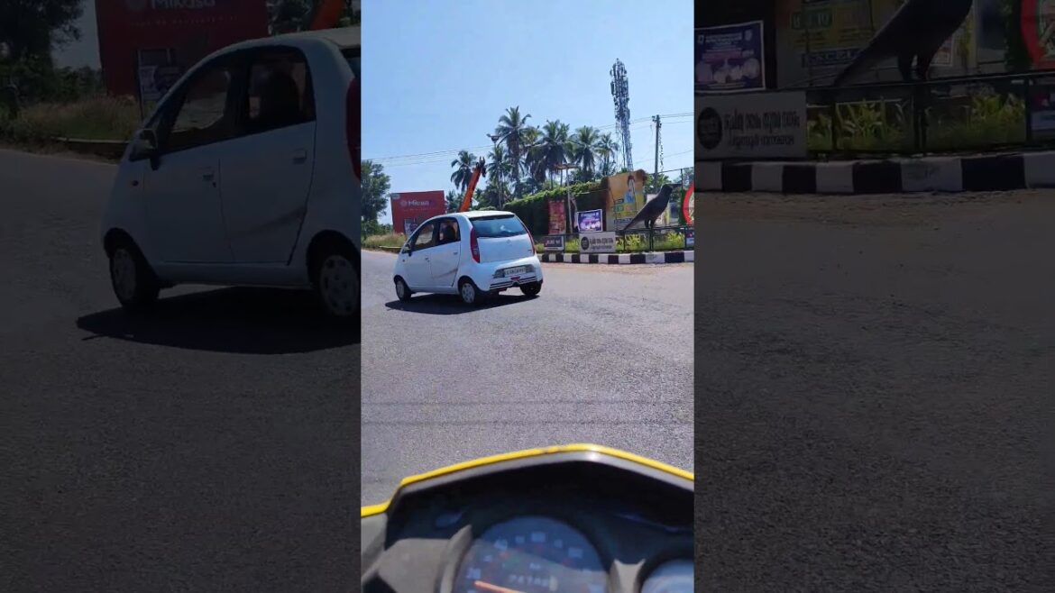 പയ്യന്നൂർ കോളേജിൻ്റെ വരാന്തയിലൂടെ /#variety #shortsviral #shorts