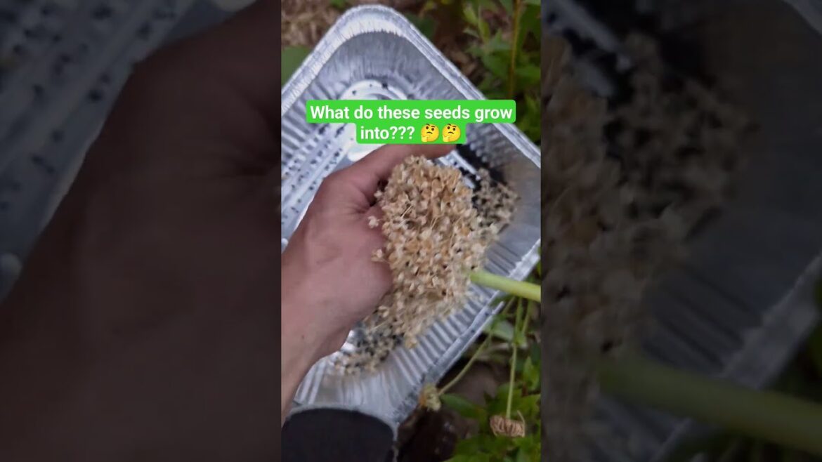 Closing In On Spring ✌️