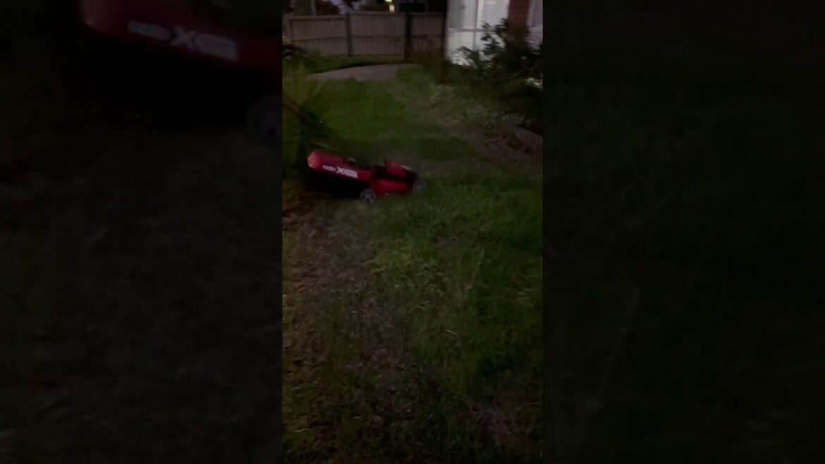 Lawn thechina tanta 😢🙄🍃 #viral #garden #trend #viral #yt #youtubeshorts #shorts #youtube #nature