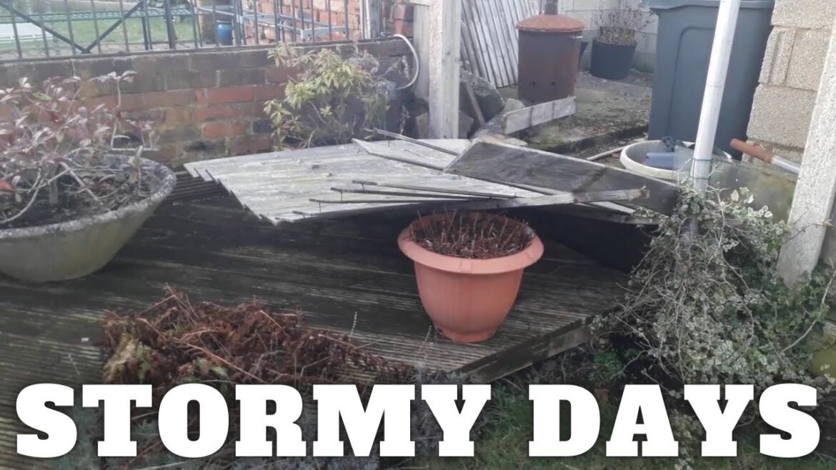Storm Damage [Gardening Allotment UK] [Grow Vegetables At Home ]